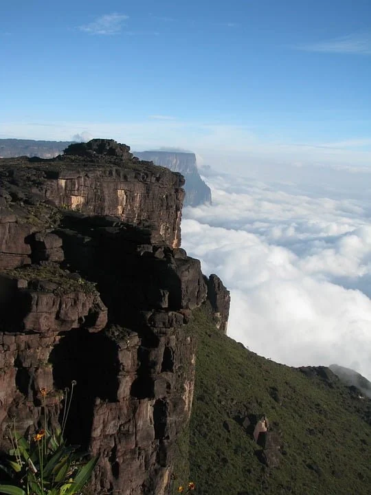 Wet Forests in Canaima Park