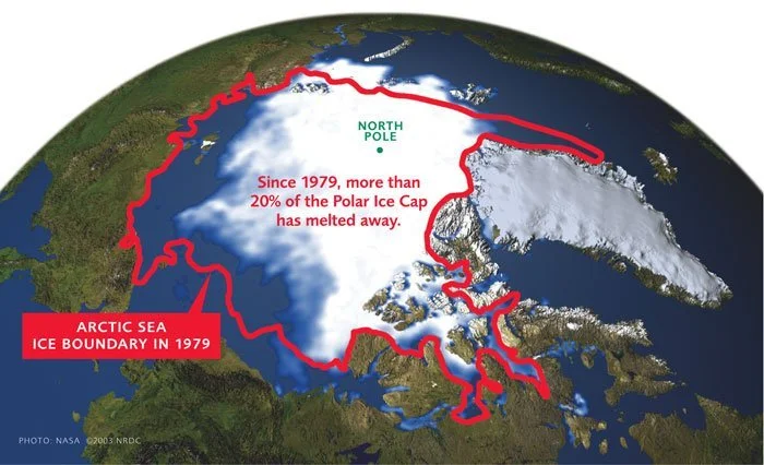 Polar Sea Ice Melt