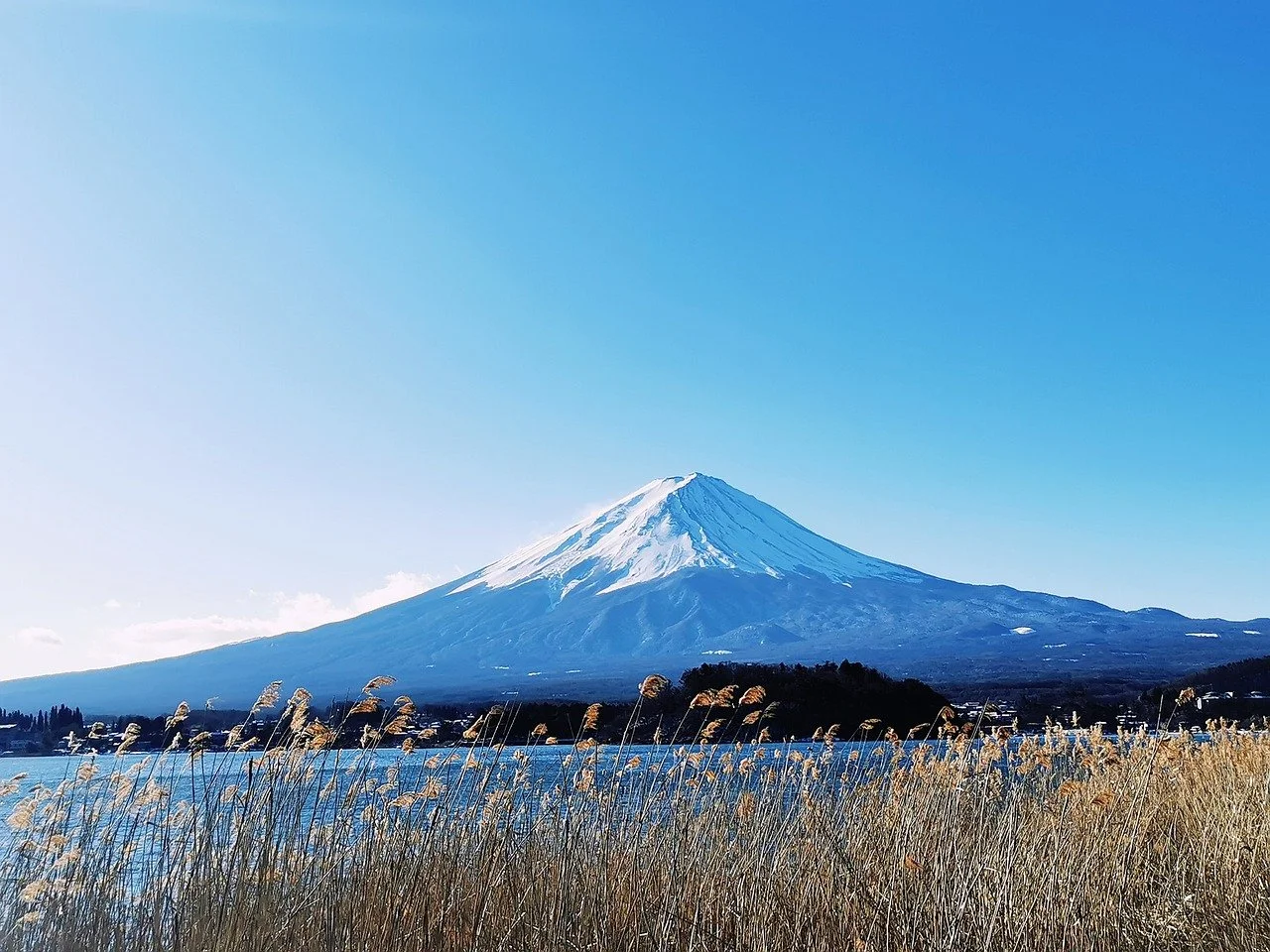 Tranquil Fuji