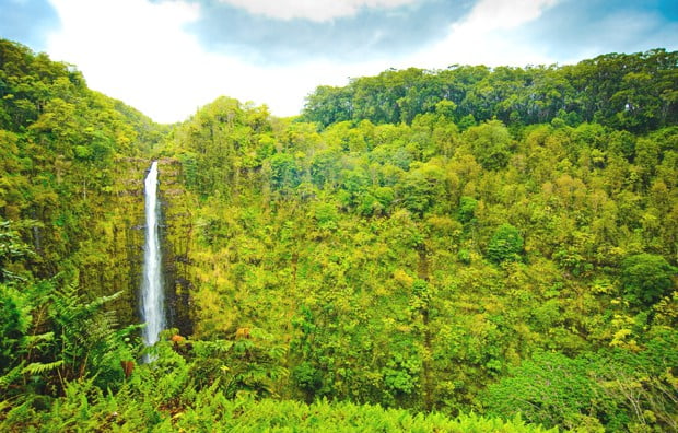 akaka-falls-big-island-hawaii