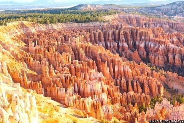 amphitheater-bryce-canyon