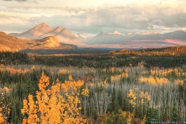 autumn-denali-national-park