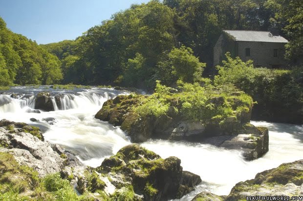 cenarth-falls-pembrokeshire