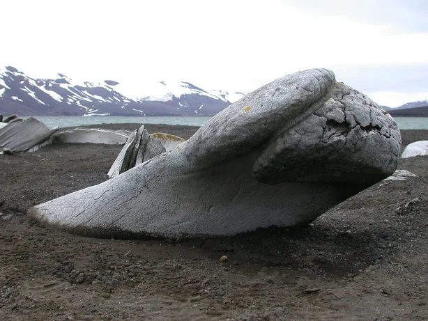 deception-island-2-whale_bones