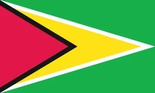 flag-of-guyana