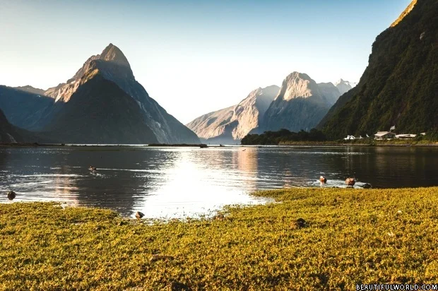 milford-sound-fiordland-national-park