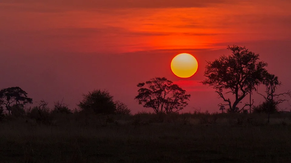 okavango-delta-sunset