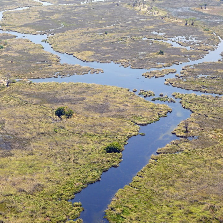 okavango-delta