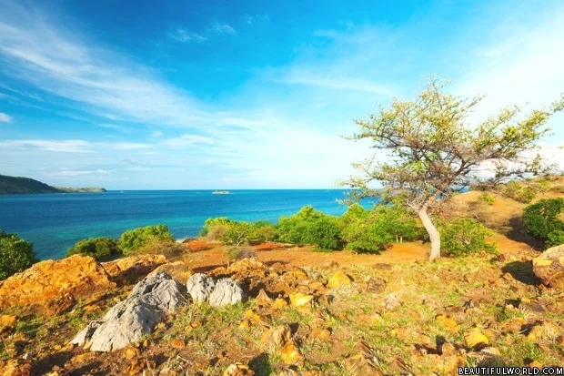 seraya-island-komodo-national-park