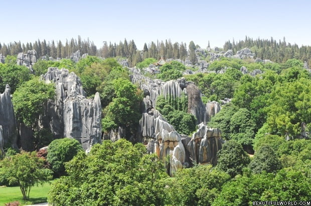 Stone Forest National Park