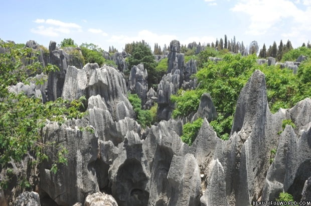 stone-forest-national-park