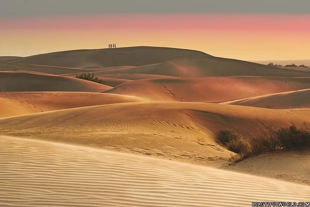 thar-desert-sunset