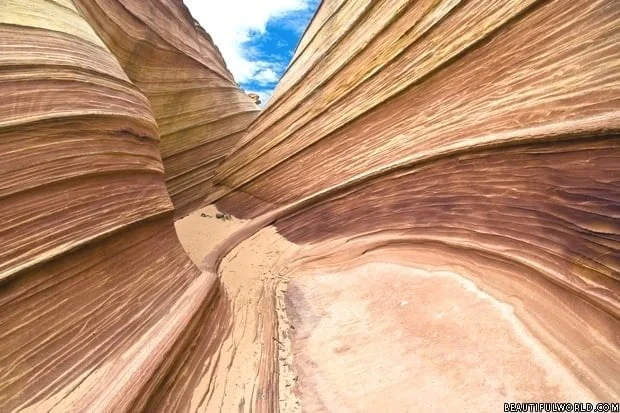 the-wave-rock-formation