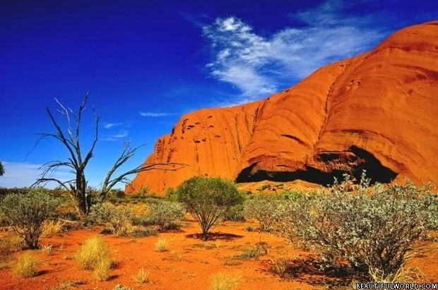 Uluru Ayers Rock