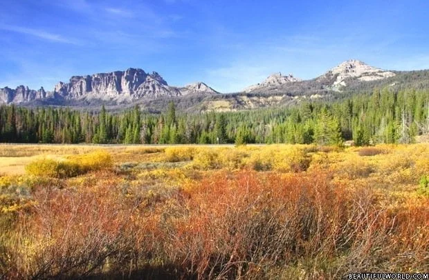 yellowstone-national-park-usa